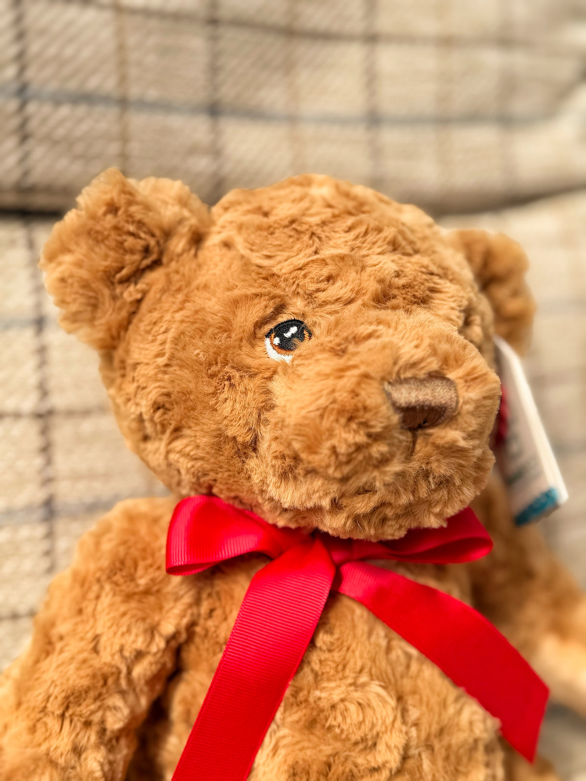 ‘Ted’ Memorial Cuddle Bear