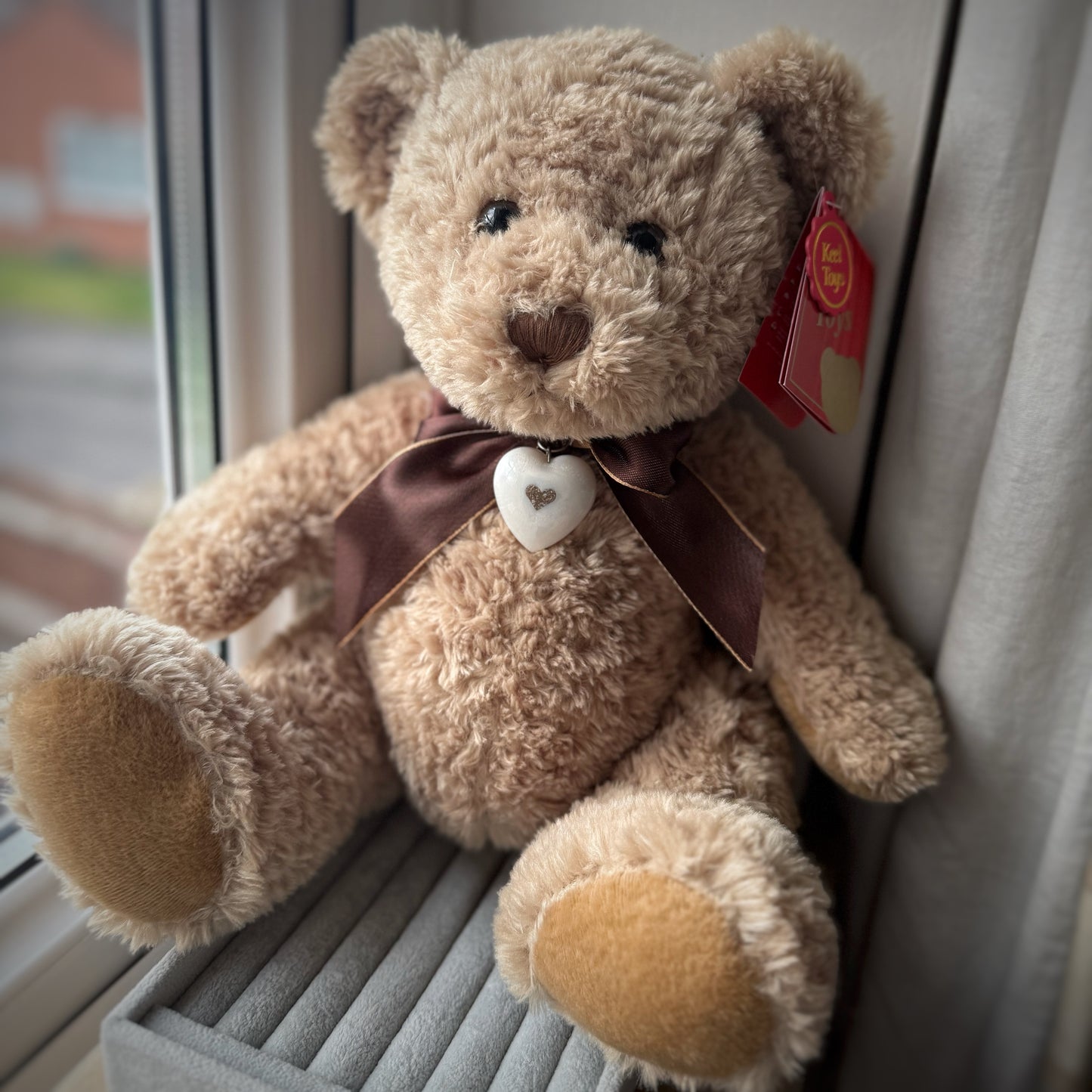 ‘Ted’ Memorial Cuddle Bear 🧸