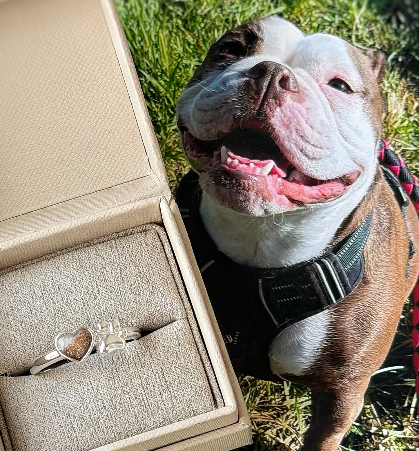925 Silver Paw to my Heart Ring