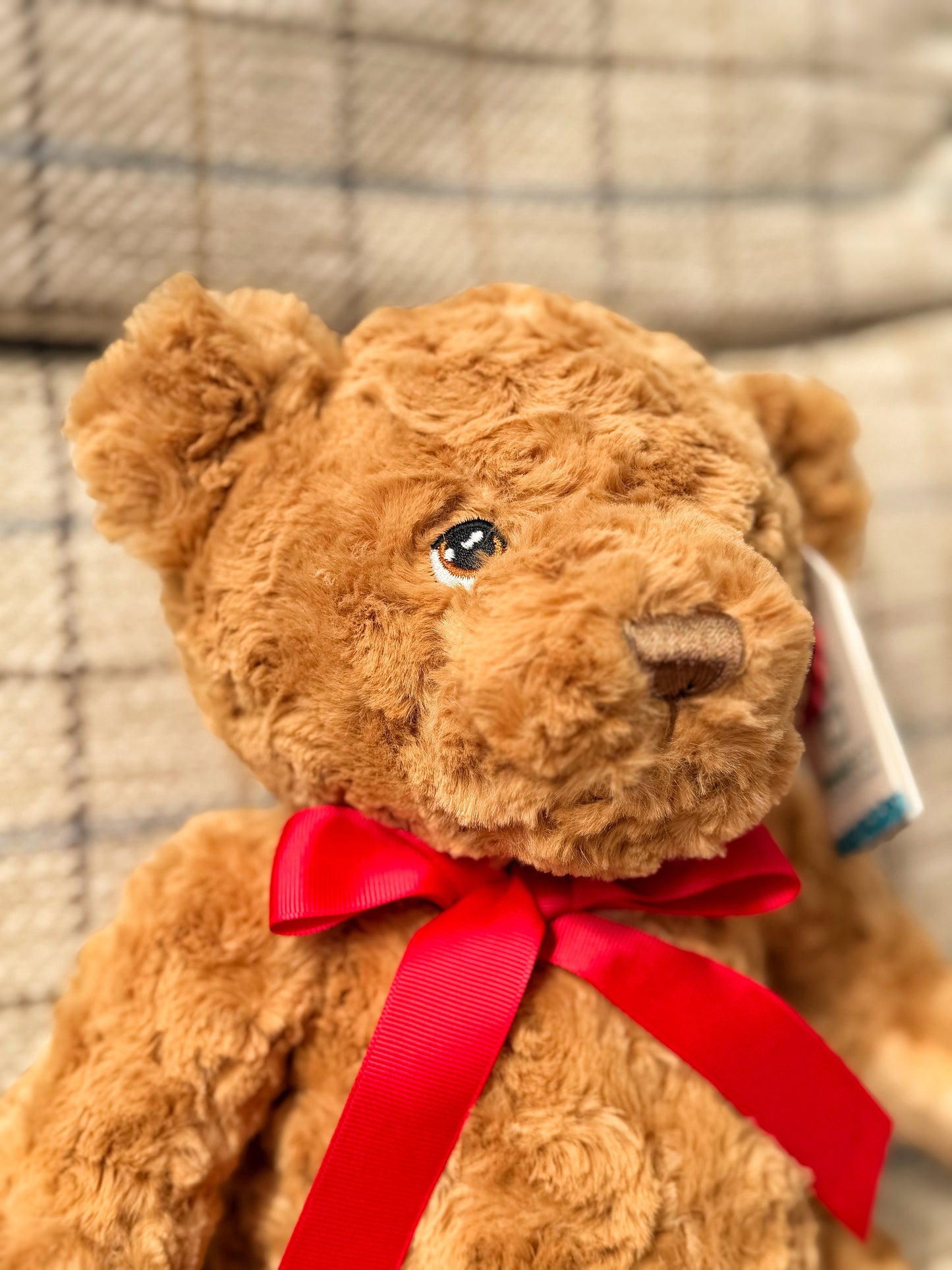 ‘Ted’ Memorial Cuddle Bear