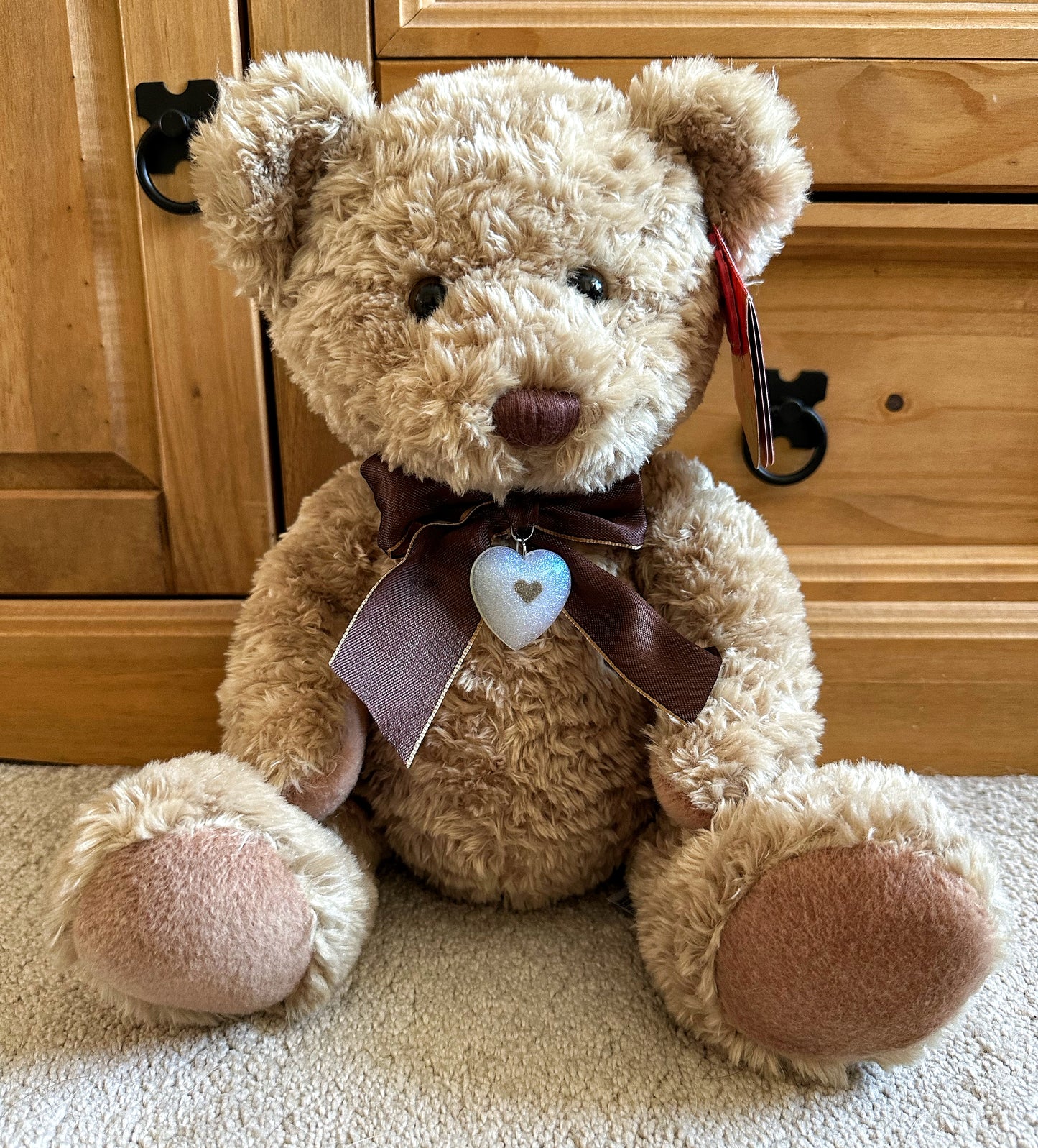 ‘Ted’ Memorial Cuddle Bear 🧸